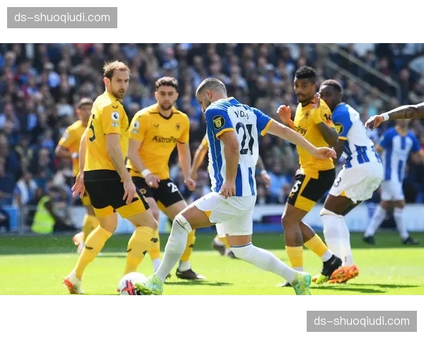 布莱顿中锋战术价值凸显 维尔贝克梅开二度印证传统支点作用